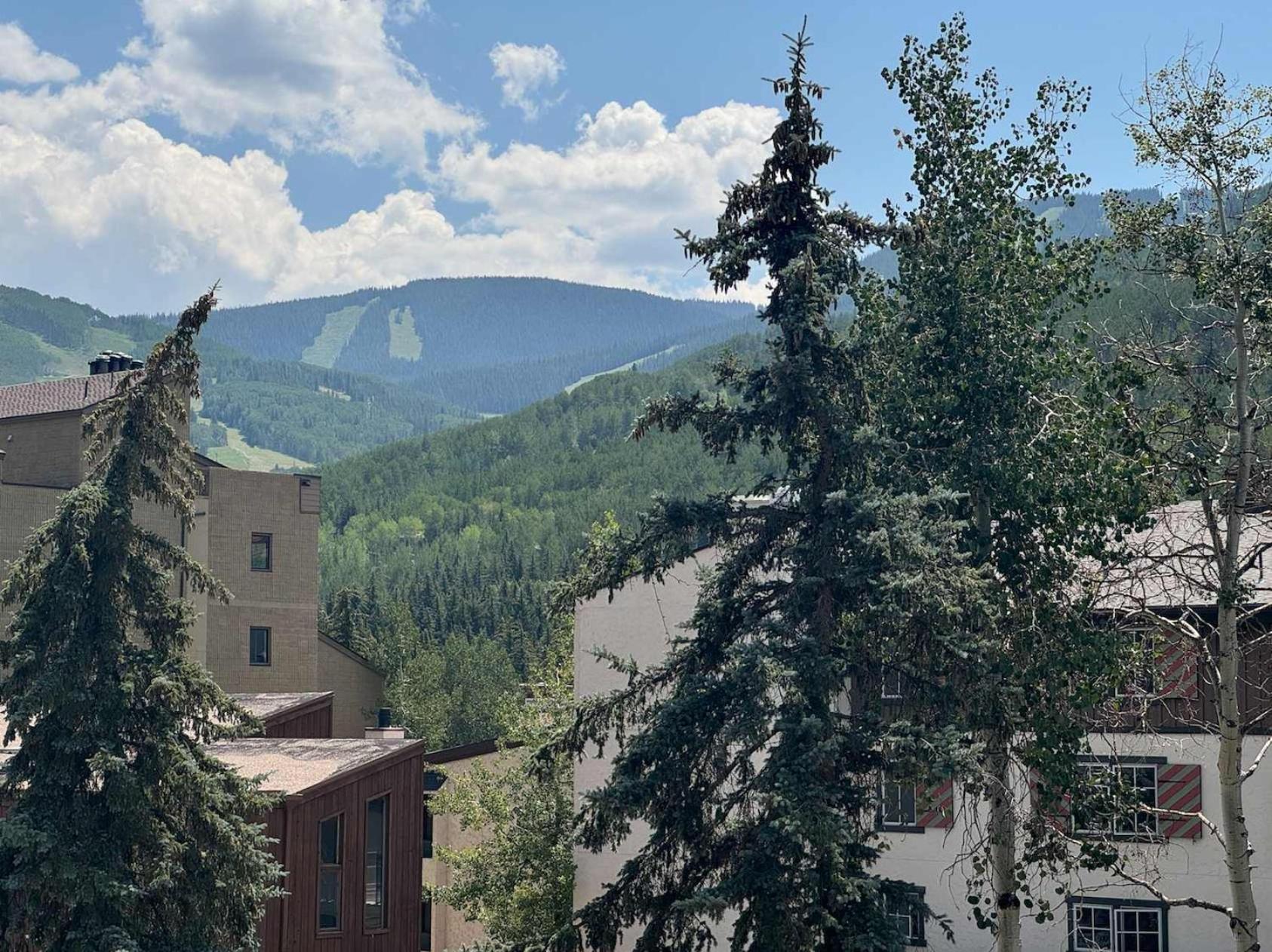 Best Location In The Heart Of Lions Head, Ski Lockers, Jacuzzi And Pool Vail Exterior photo